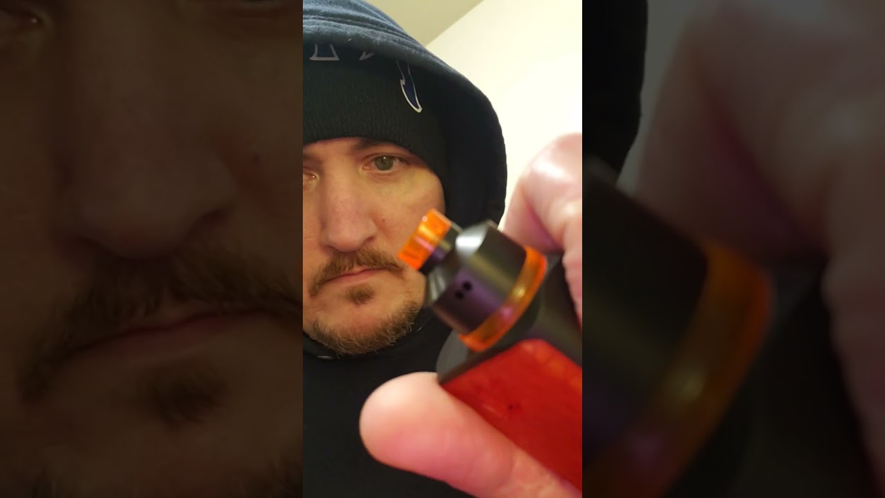 Molly V3 снова в деле! 