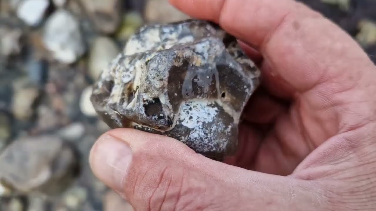 Echinocorys - 1 - aus dem Muttergestein hauen (Tour 28.02.2026)
