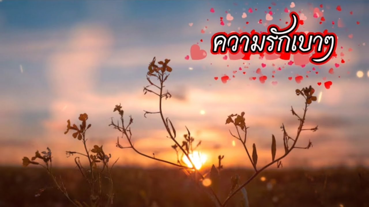ความรักเบาๆ [love music] #song #เพลงใหม่ #love #new #เพลงเพราะ 