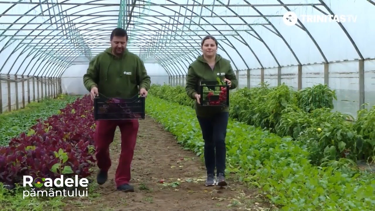 Cum reușește un producător agricol din Băleni să păstreze gustul legumelor și fructelor peste iarnă?