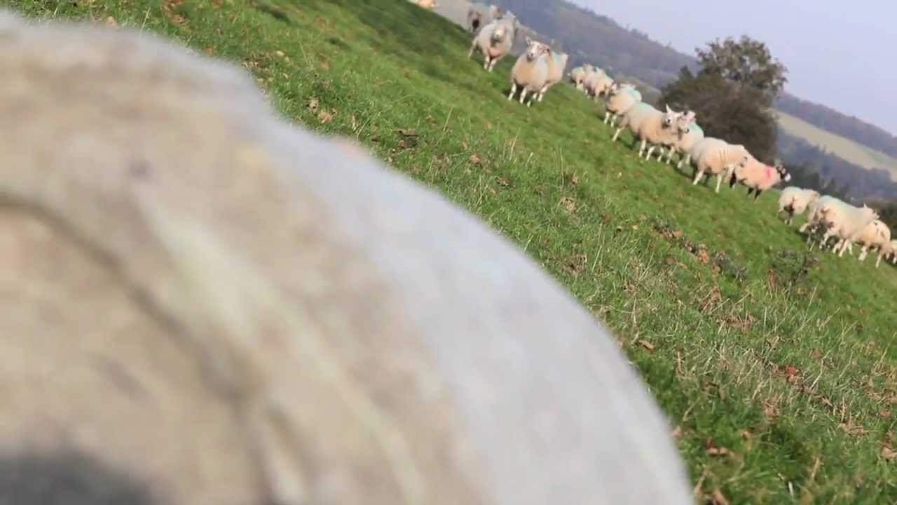 Thermafleece Promotional Video