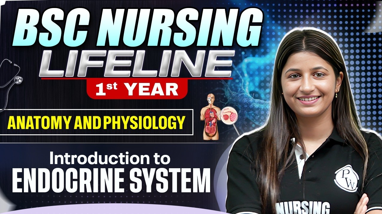 Endocrine System Bsc Nursing 1st Year Anatomy And Physiology | B.SC Nursing LifeLine | #bscnursing