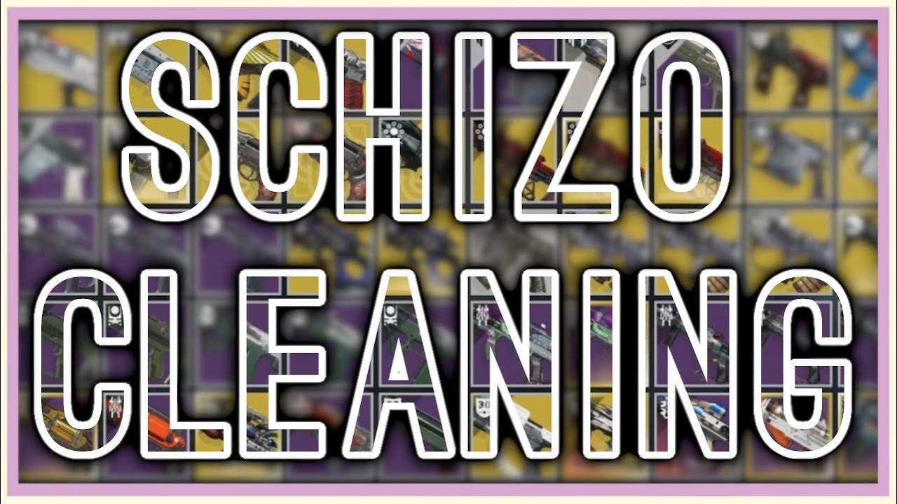 Bonk's Schizo Cleaning | Destiny 2 Vault Cleaning