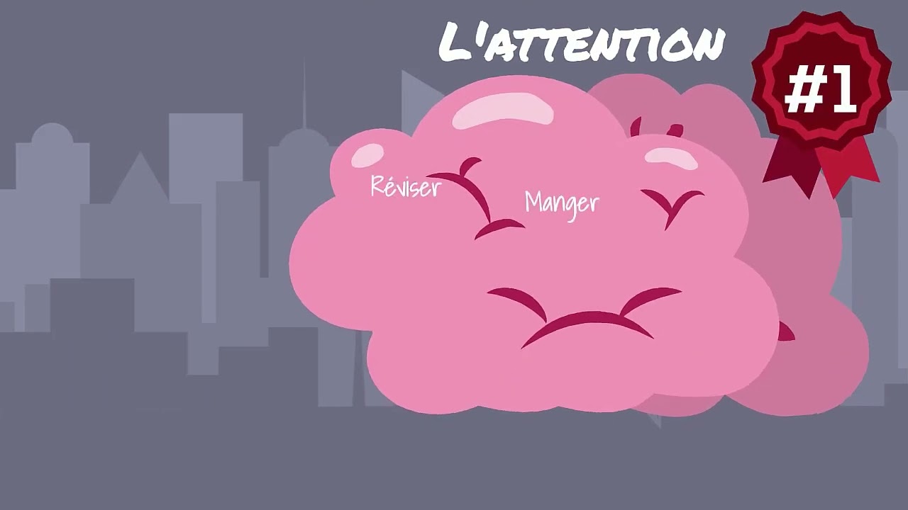 Le système de l'attention 3 : Concentration, état de flow mental, travail multi-tâche