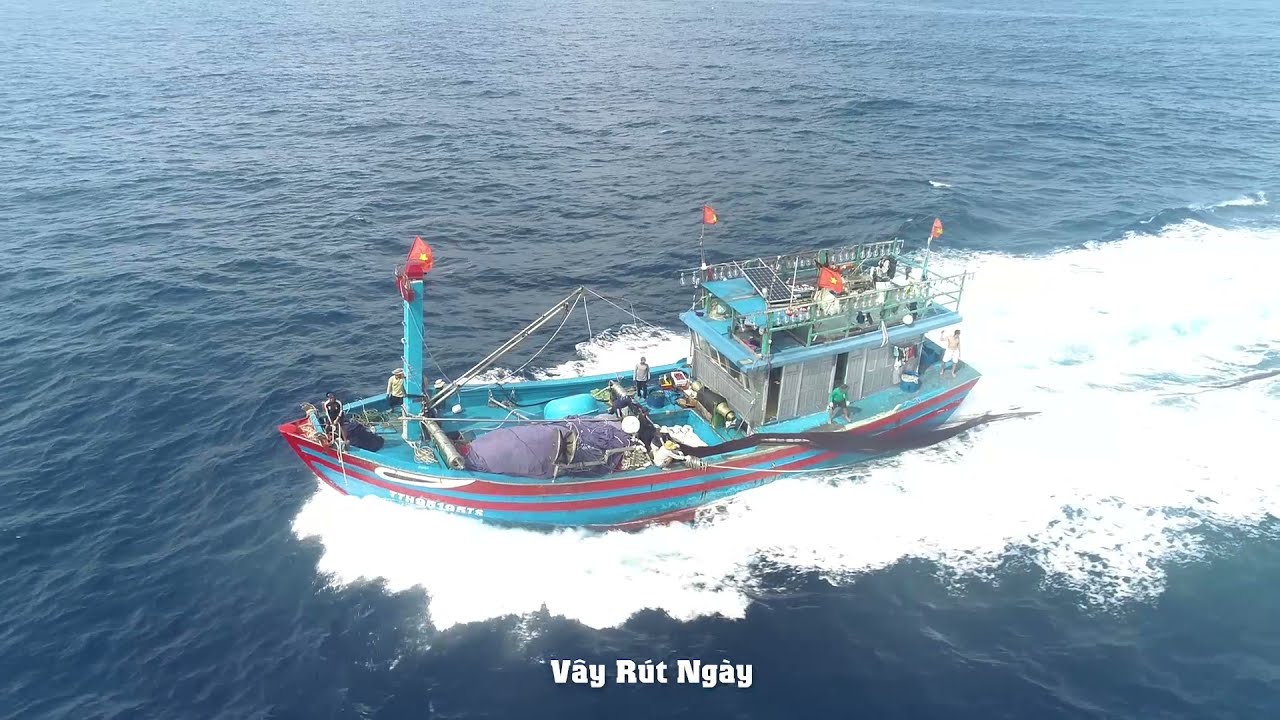 Vây rút ngày gặp đàn cá ngừ vảy vài chục tấn và cái kết