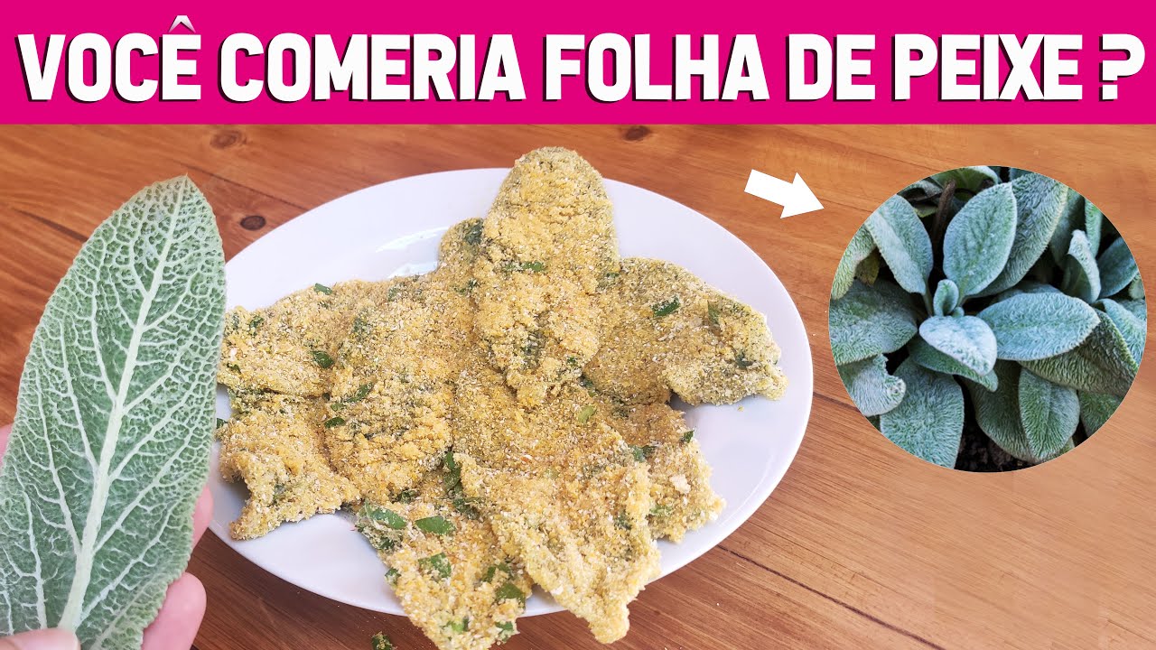 🍃 Experimentei uma planta com gosto de peixe🐟  |  Peixinho da horta empanado