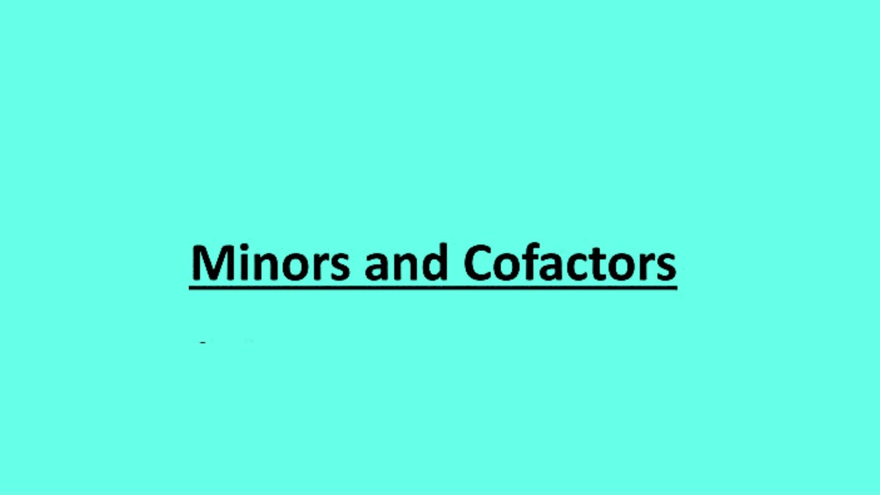 6- Minors and Cofactor Matrices المصفوفات