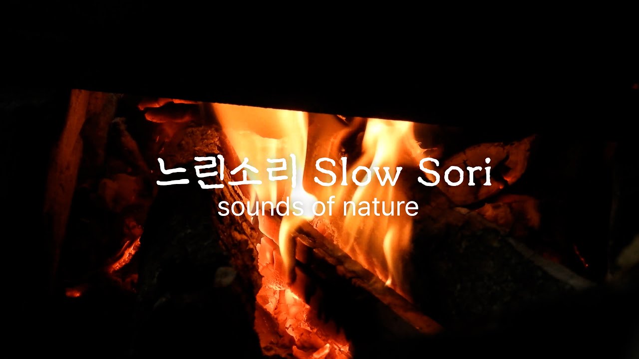 [4K ASMR] 모닥불과 새소리 — 장작 타는 소리로 즐기는 편안한 힐링 사운드 / Birds, Crackling Fire Sounds for Relaxation / KOREA