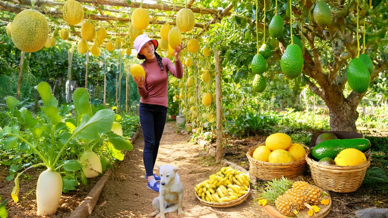 Harvest, Sell, And Cook With: Yellow Cantaloupe, Pineapple, Long Avocado, Korean Mustard Greens, Fig