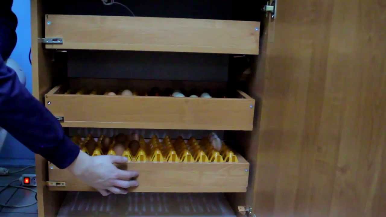 inkubator półautomatyczny na 180-300jaj kurzych z klujnikiem