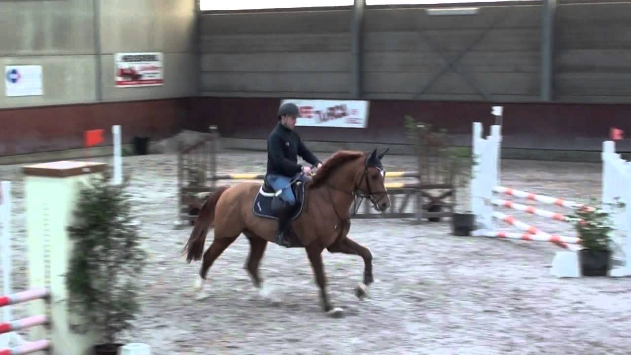 160219 Clip premier concours