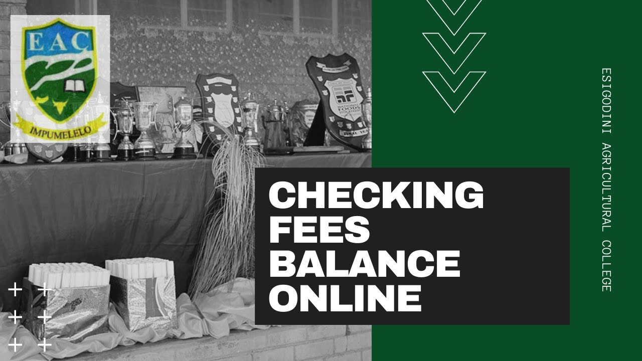 Checking Balance Online