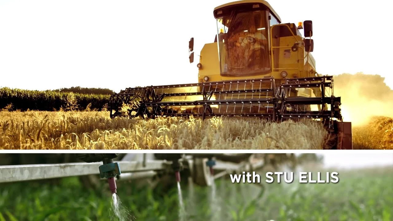 From the Farm | Episode 11