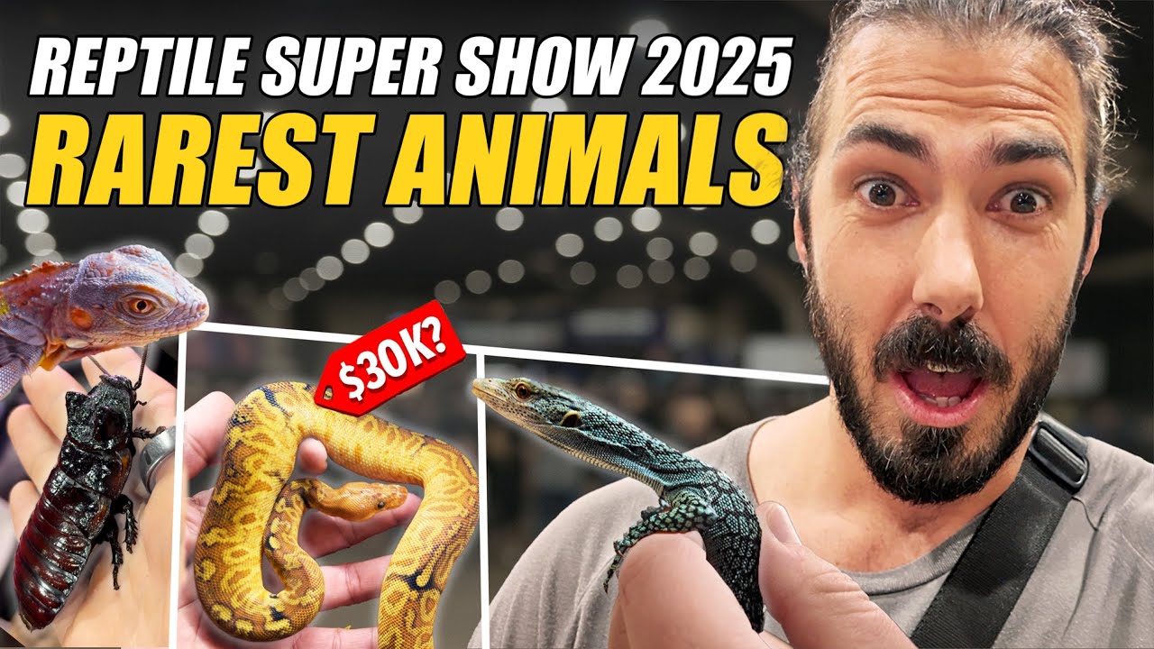 Reptile Super Show 2025 Was INSANE — I Found the Rarest Animals! 🐍🦎