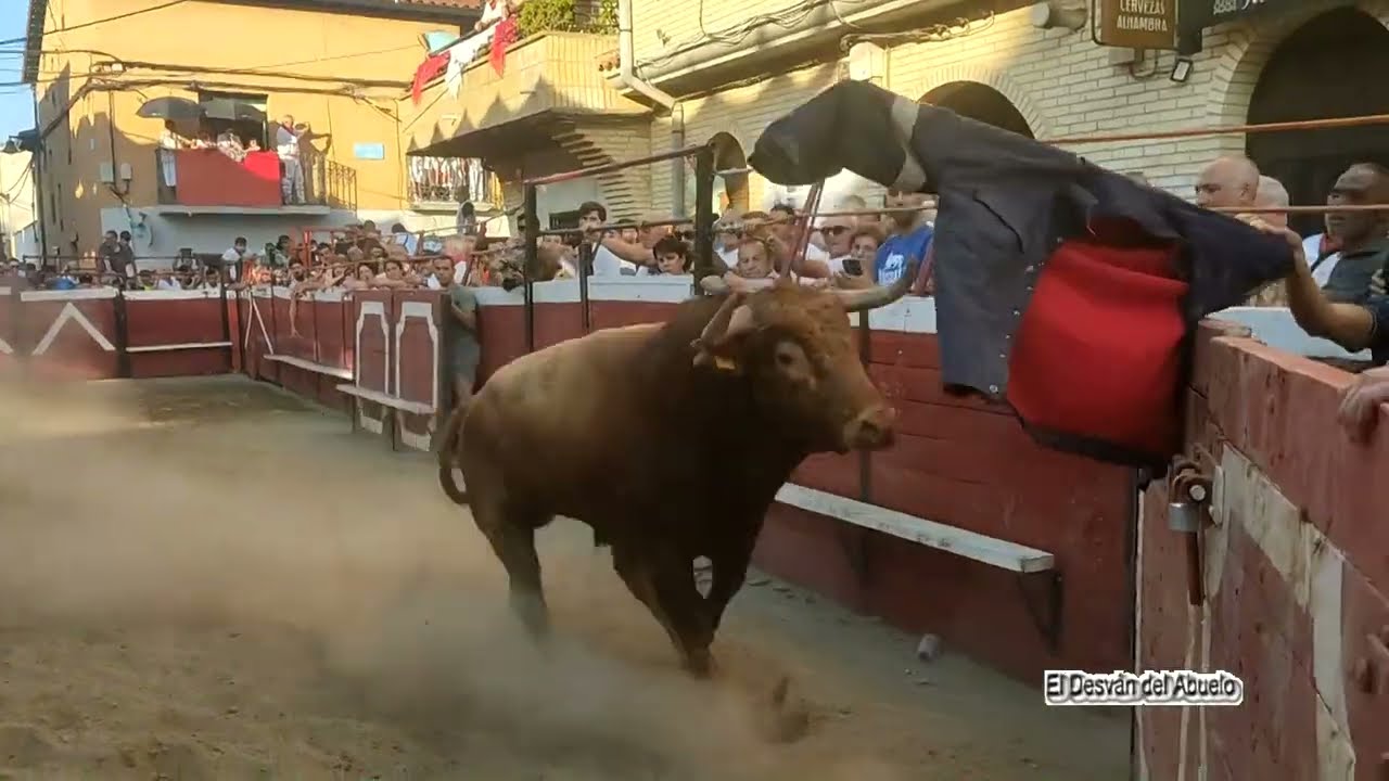 Cadreita pinceladas 2024