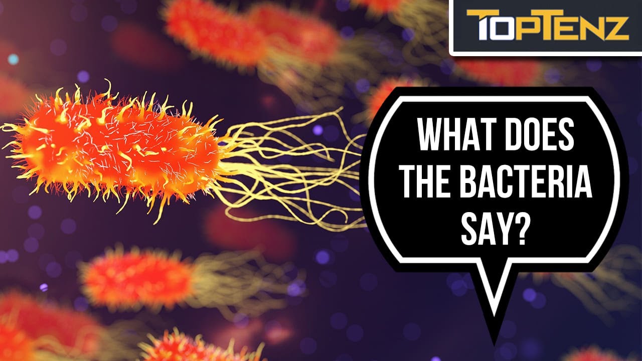 10 Things You Thought Were Silent (But Actually Make Strange and Terrifying Noises)