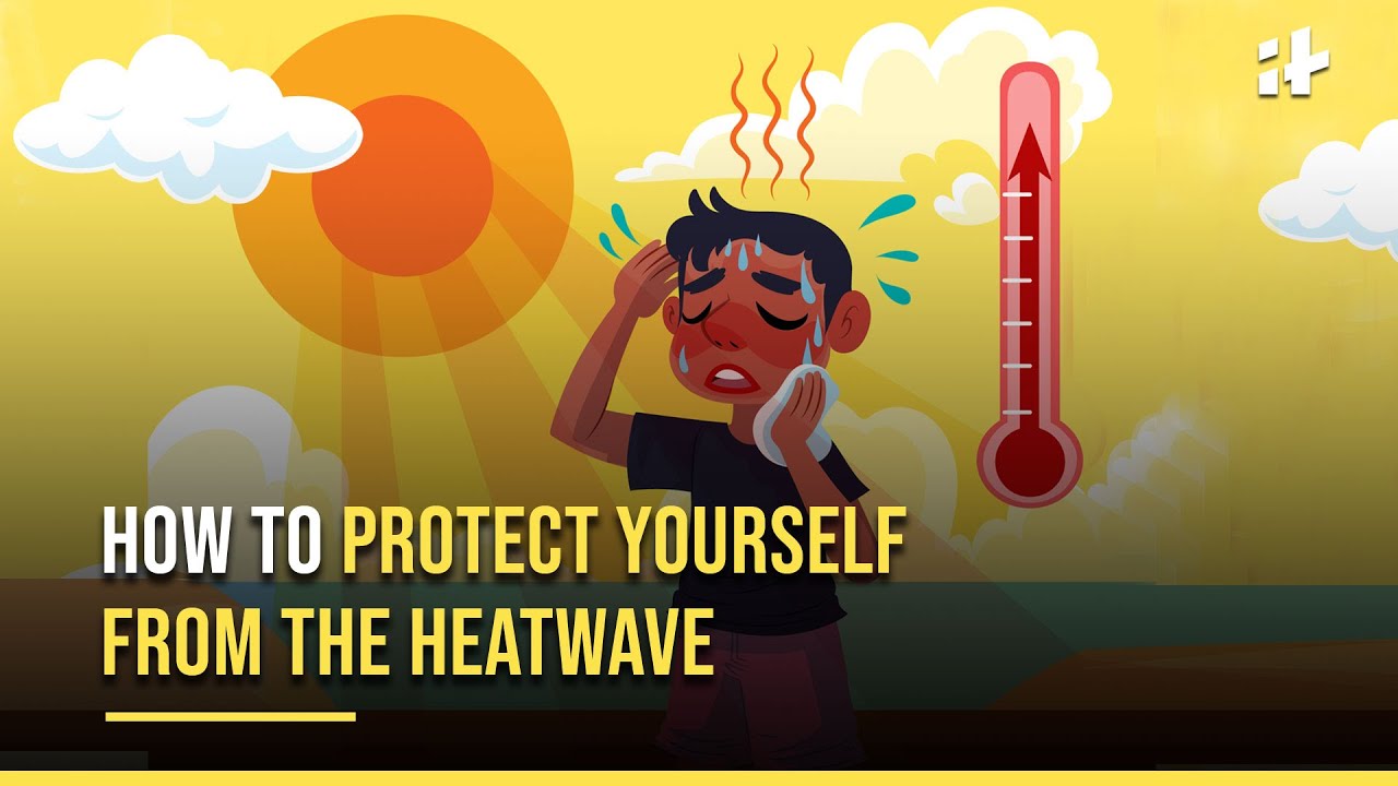 Heatwave in North India: Heatwave Grips Parts of India, How To Protect Yourself