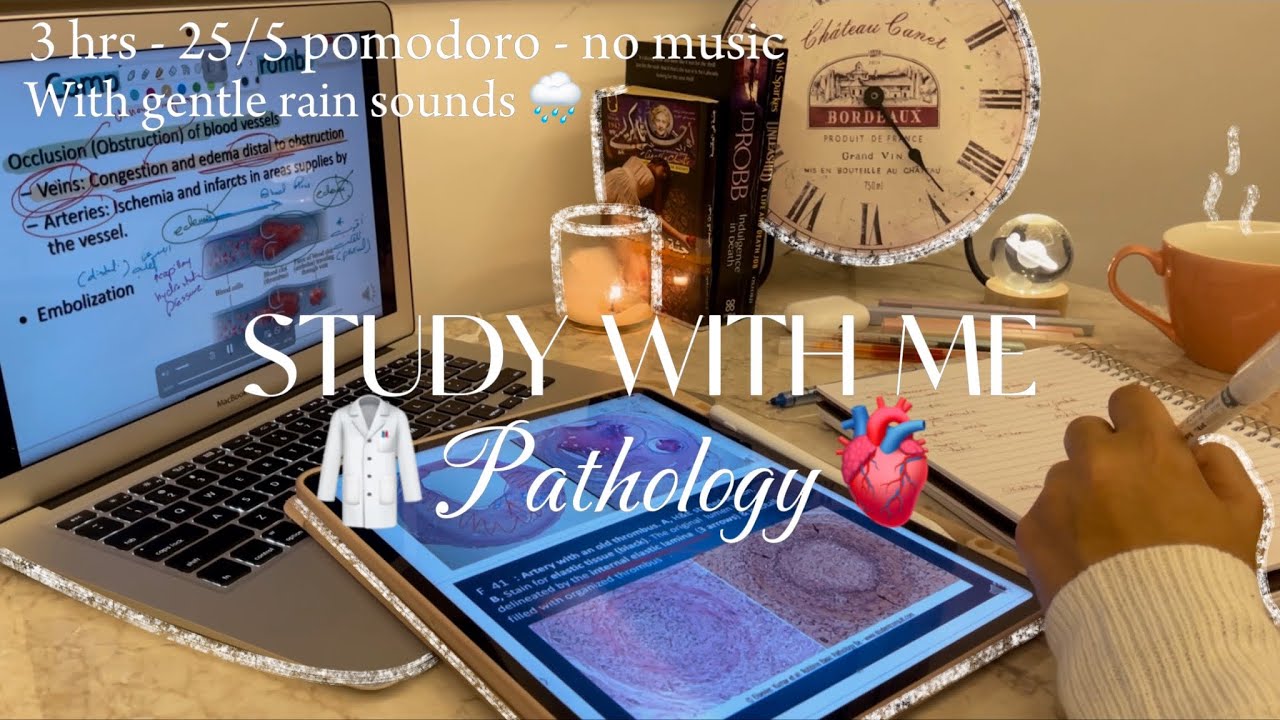 Study with me PATHOLOGY🫀| 3 hrs - 25/5 pomodoro - no music