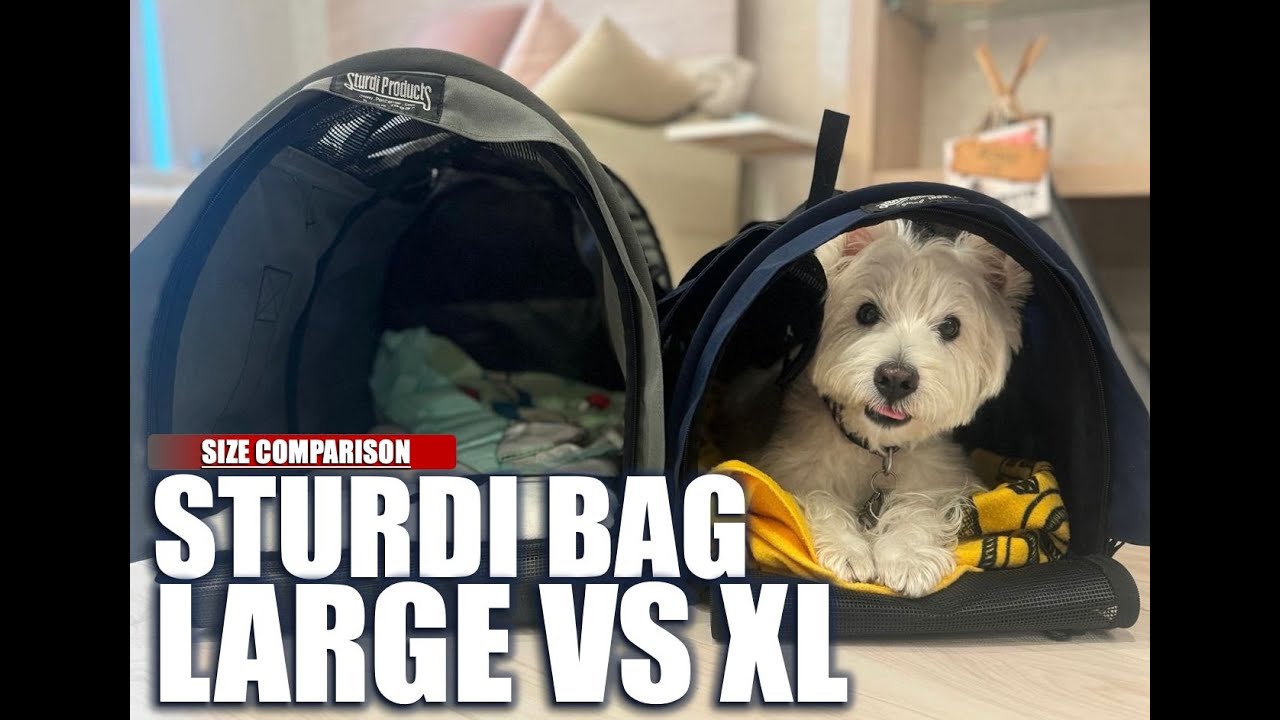 Battle Of The Sturdibags: Large Or Xl? Which Is The Ultimate Dog Carrier For Cabin Travel?