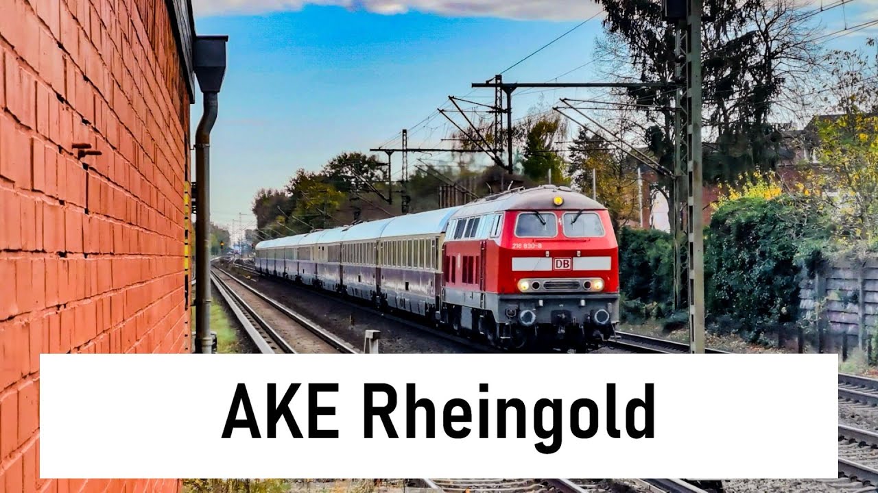 AKE Rheingold und vieles mehr in Halstenbek! (Züge in Halstenbek #2)