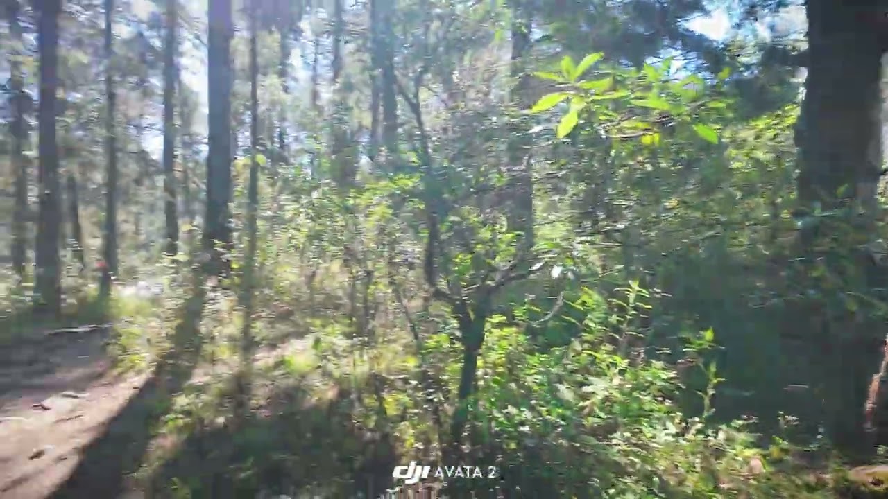 Freestyle DJI avata 2