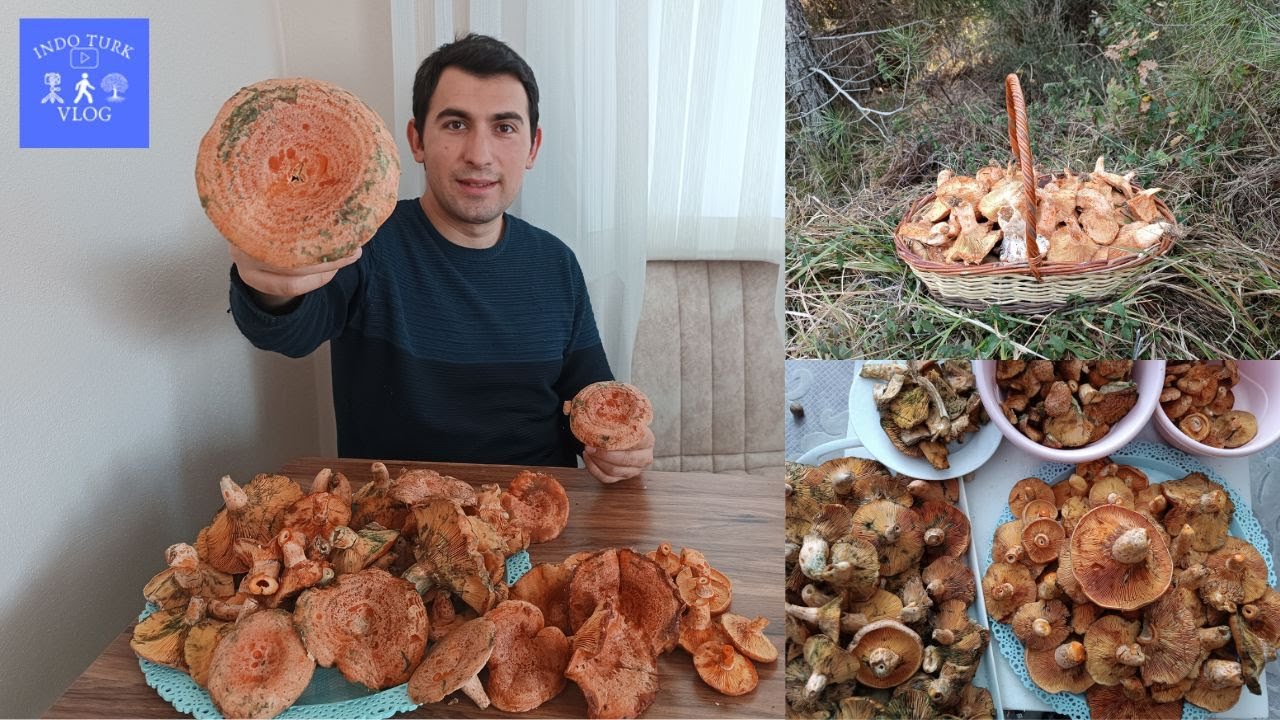 İSTANBUL' DA OCAK AYINDA BULUNAMAYAN KANLICA MANTARINA MÜTHİŞ BİR SEZON FİNALİ YAPTIK. ( VLOG 23 )