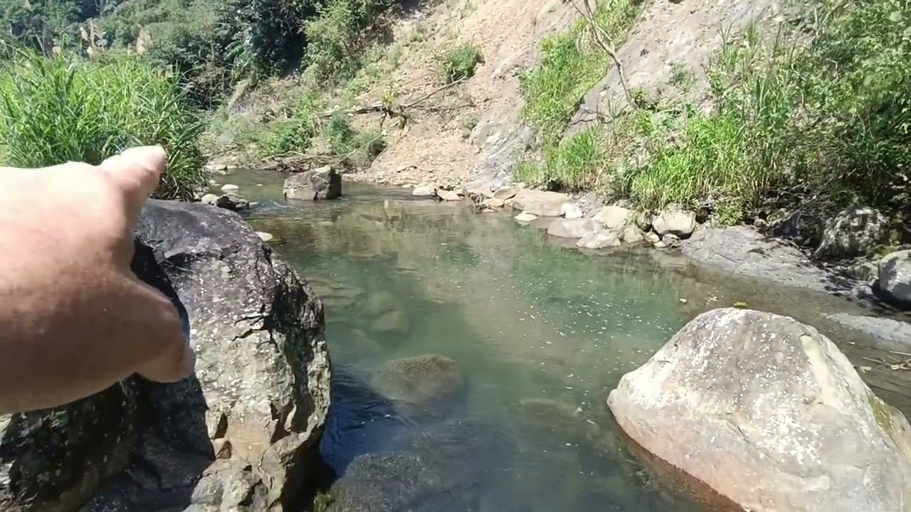 明偉釣魚/青潭溪中生路175號溪床/第50釣