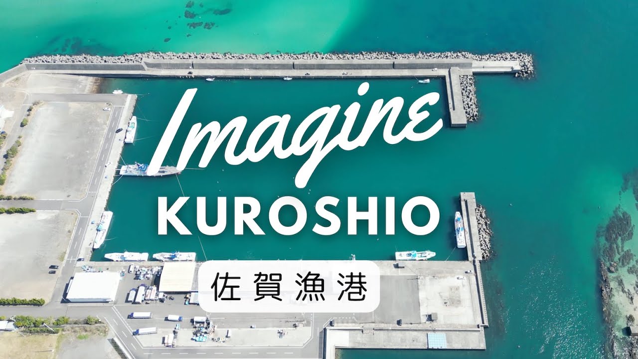 Imagine Kuroshio 佐賀漁港 2024月2月 Saga Fishing Port in February