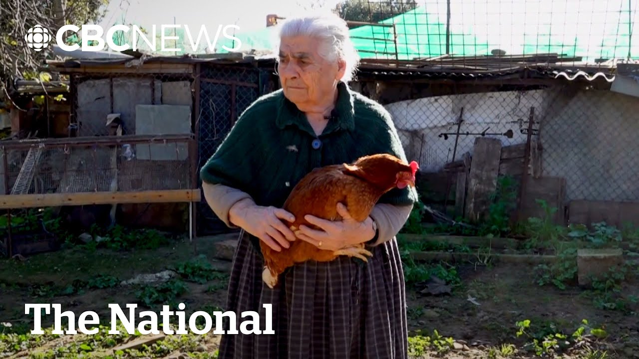 Italian town&rsquo;s secret to centenarians the subject of new research
