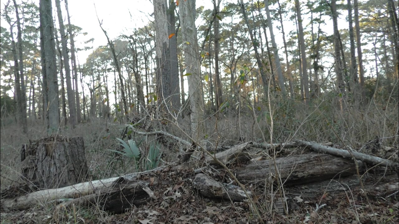 Huntsville Nature Shoot