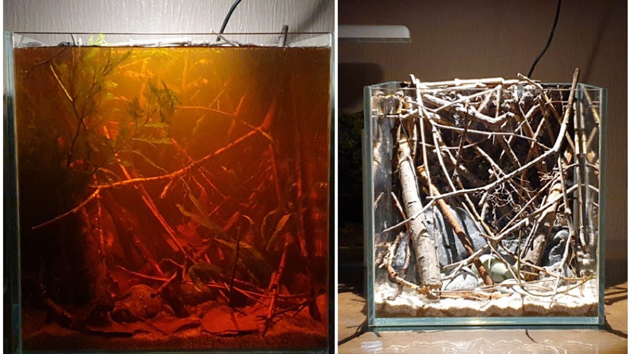 블랙워터 미니 비오톱 수조 만들기/Making a black water mini biotope tank, nano aquarium
