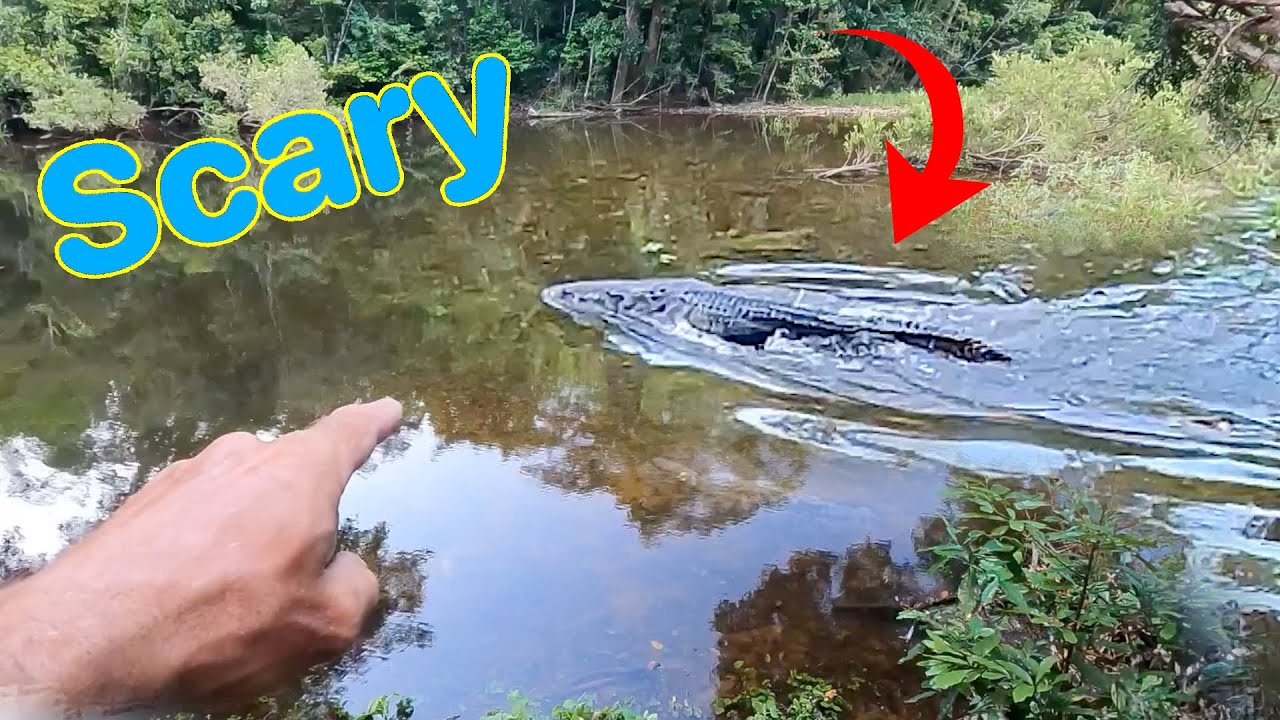Monster Crocodile in Camp - Am I insane! - Solo jungle camping - EP.555