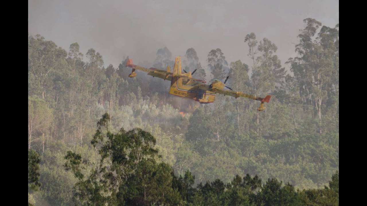 Incêndio em Santa Comba Dão - 11 de agosto 2016