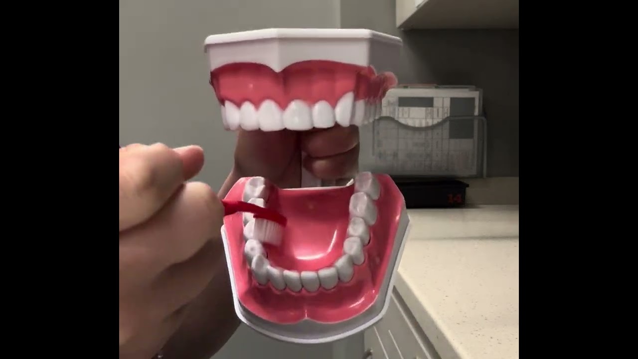 Fones Brushing Technique 
