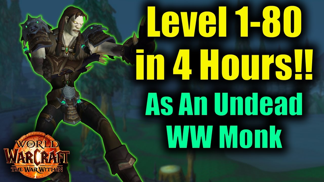 Solo Leveling From 1-80 in Only 4 Hours! (4:20:00.25)