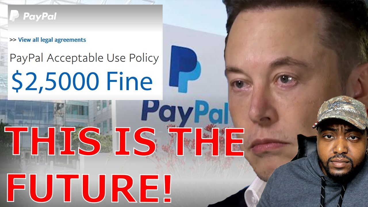PayPal BACKTRACKS $2500 Misinformation FINE After Massive Backlash From Elon Musk And Twitter!