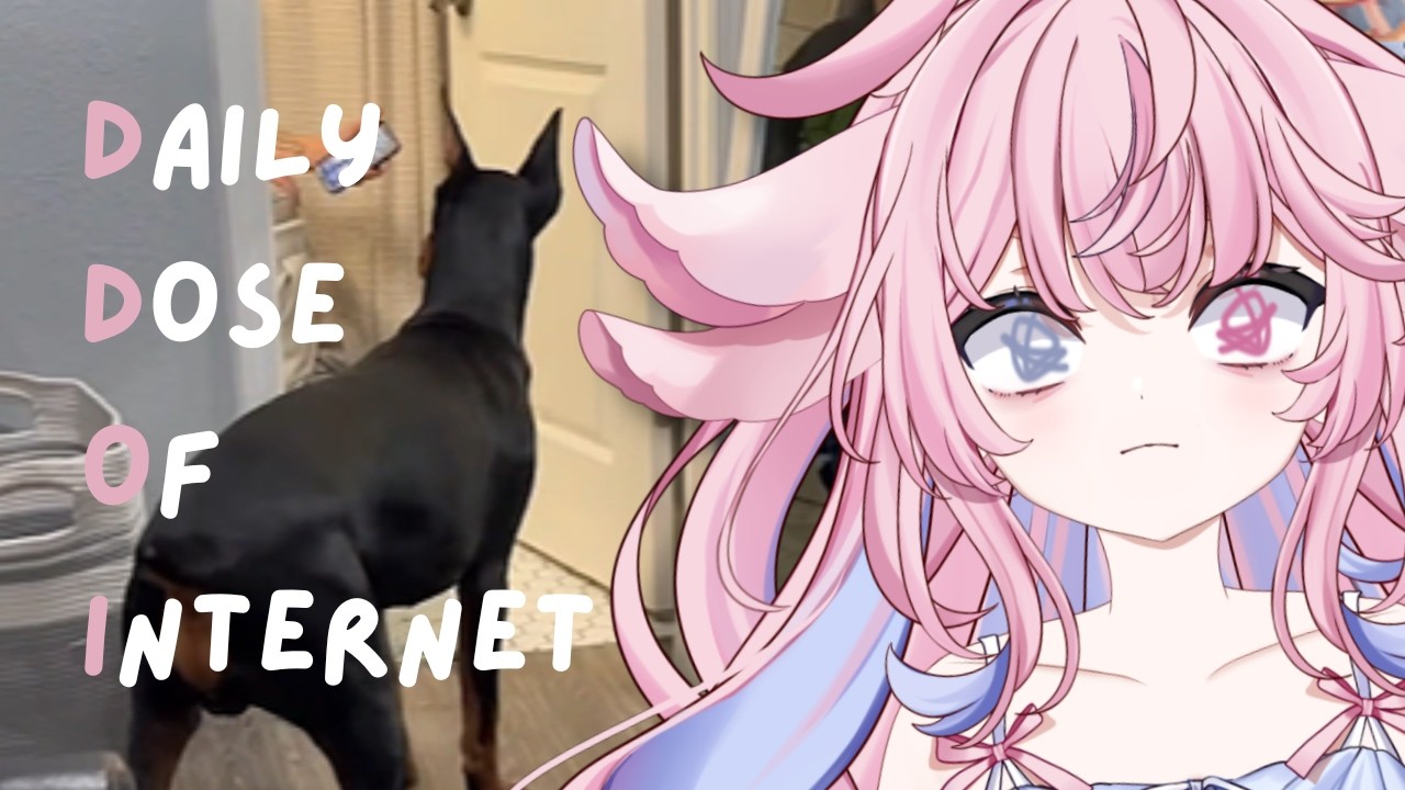 Elio Reacts to Daily Dose of Internet | Pets in Toilet?!