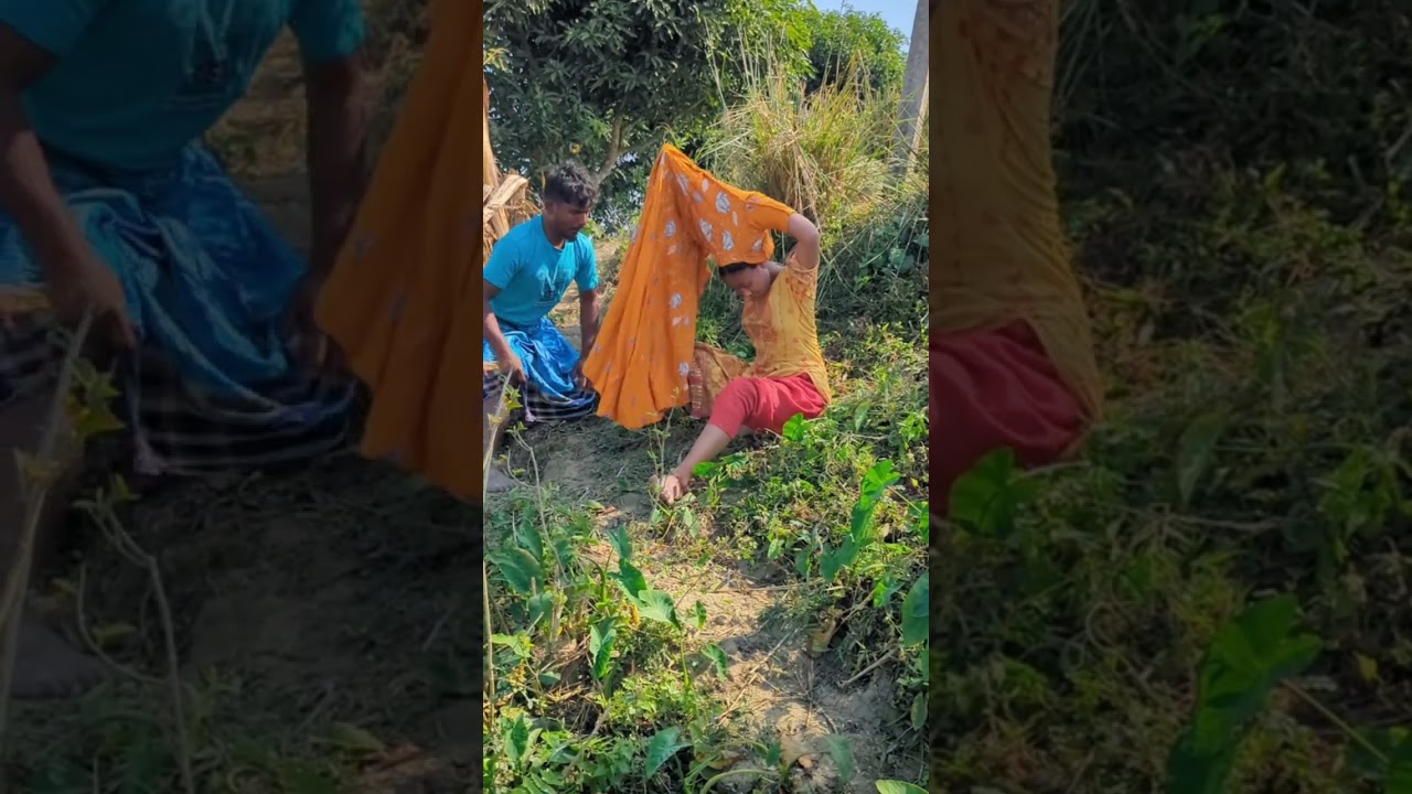 🥕🥕🍊🍃🪻❤️