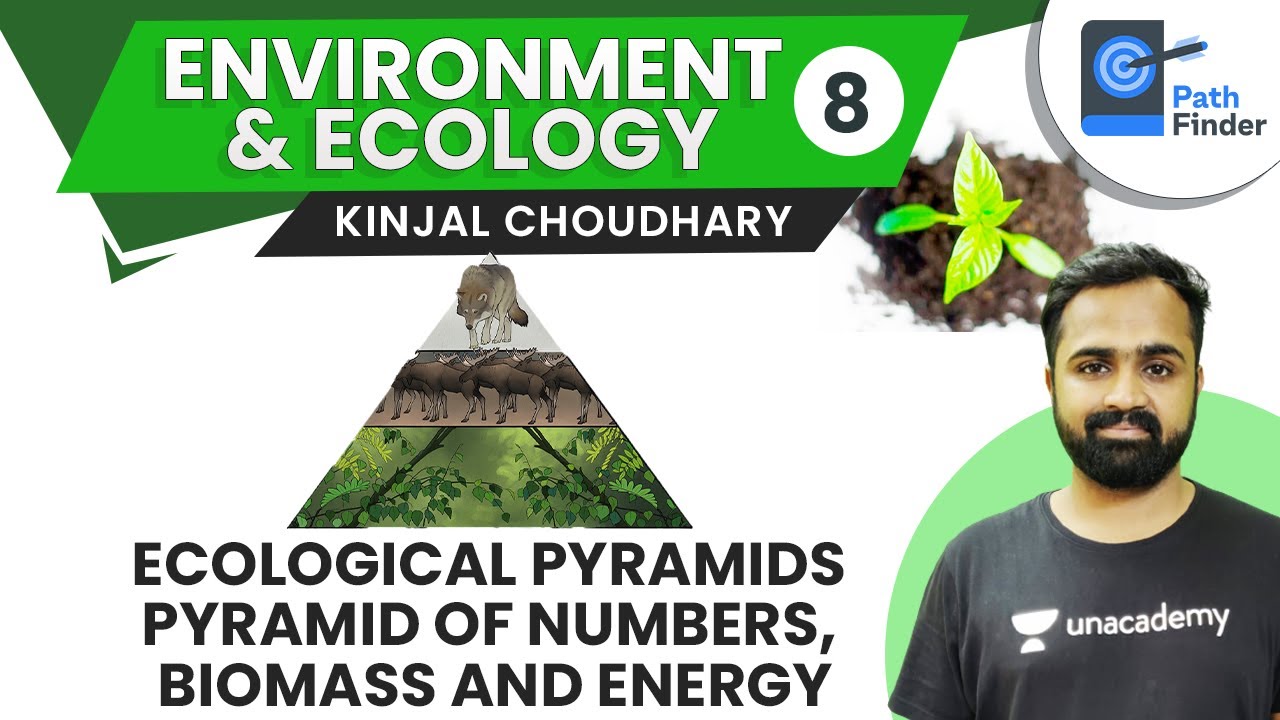 L8: Ecological Pyramids | Crack UPSC CSE/IAS 2021 | Kinjal Choudhary