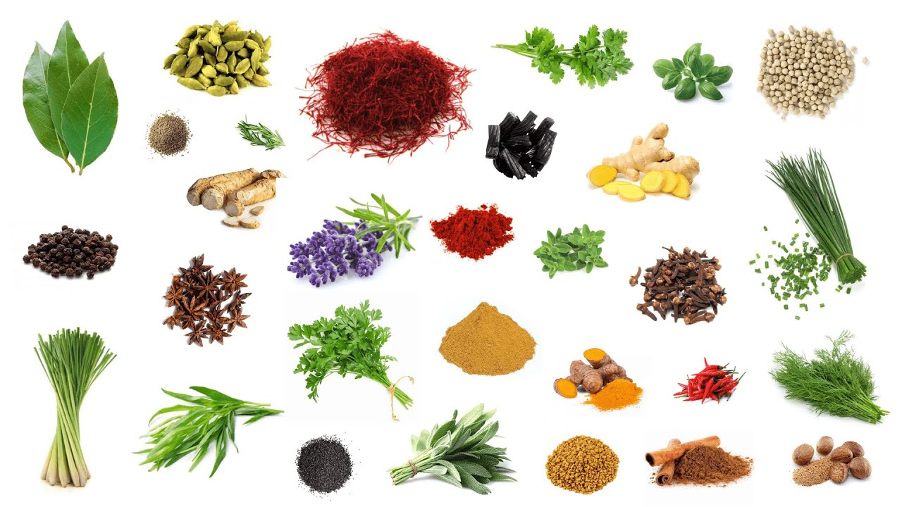 English Vocabulary - HERBS and SPICES
