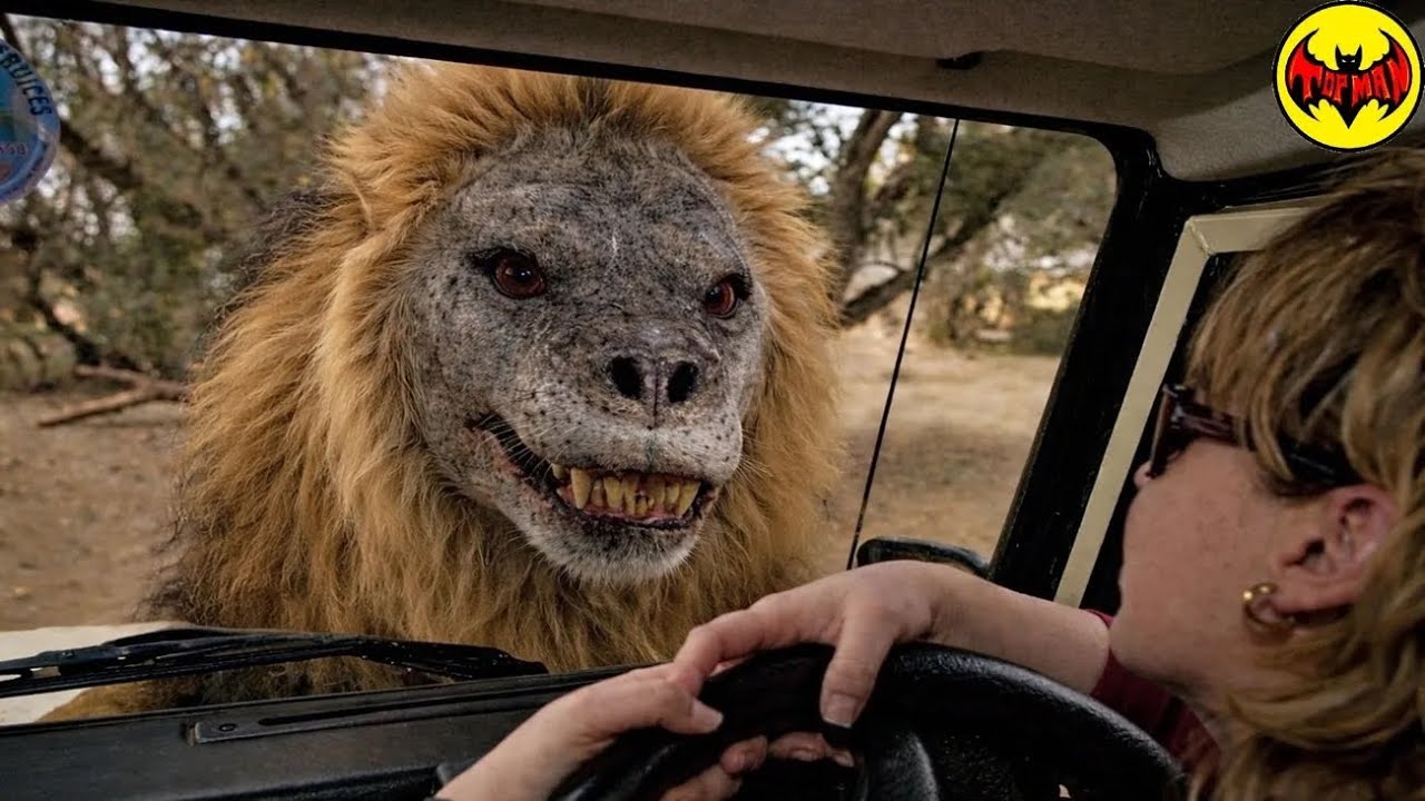 This Terrifying Lion Will Keep You Away From Africa Forever