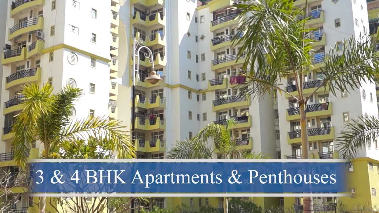 Supertech Emerald Court - Noida - S755