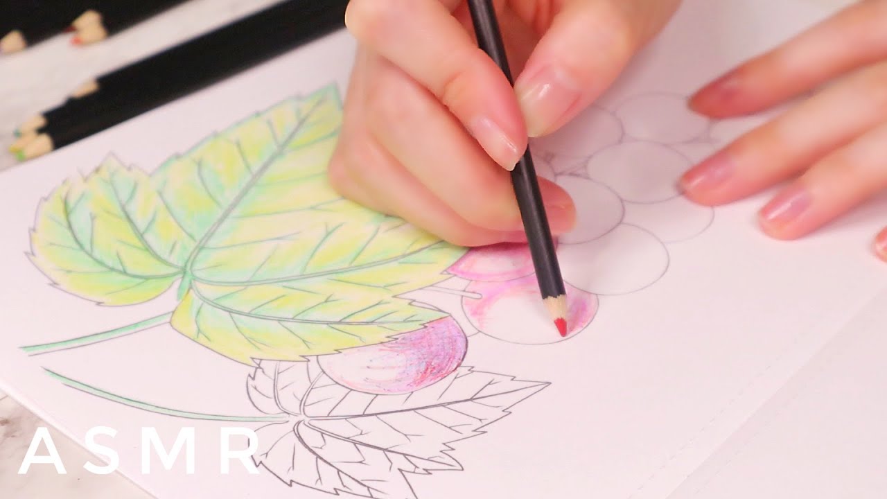 【ASMR/無言】5種類のペンで書く音✏️ 鉛筆 | 万年筆 | ボールペン | 色鉛筆 | クレヨン Writing sounds of 5 types pen