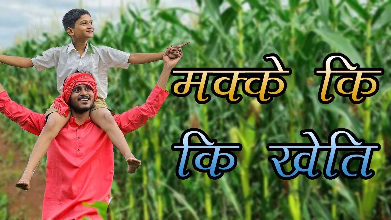 मक्के की खेती #makka #dhaankikheti #cggreenhealth