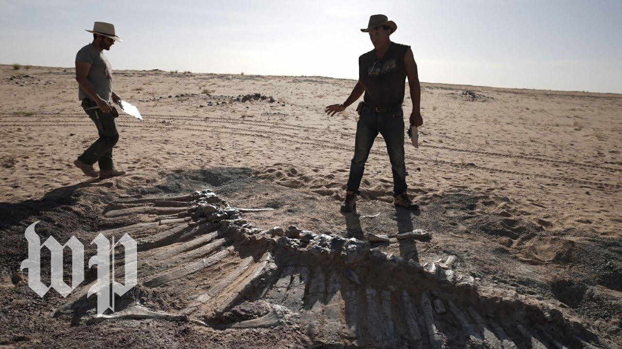 Dinosaur bones lie in wait as Niger battles coronavirus