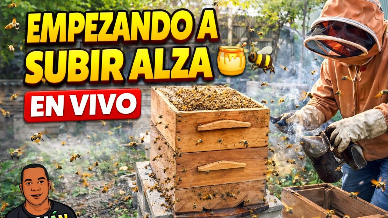 Empezando a subir alza 🐝🍯 