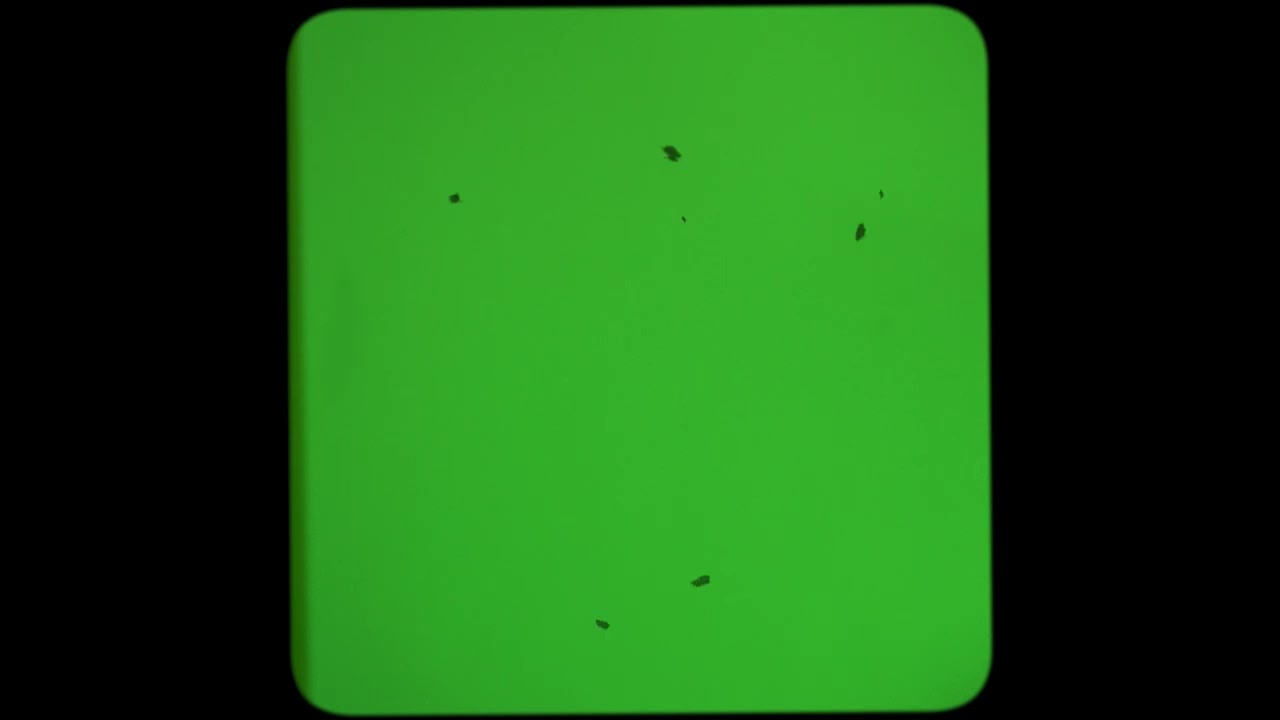 BEST! Super 8 Green screen effect - Overlay Vintage Film