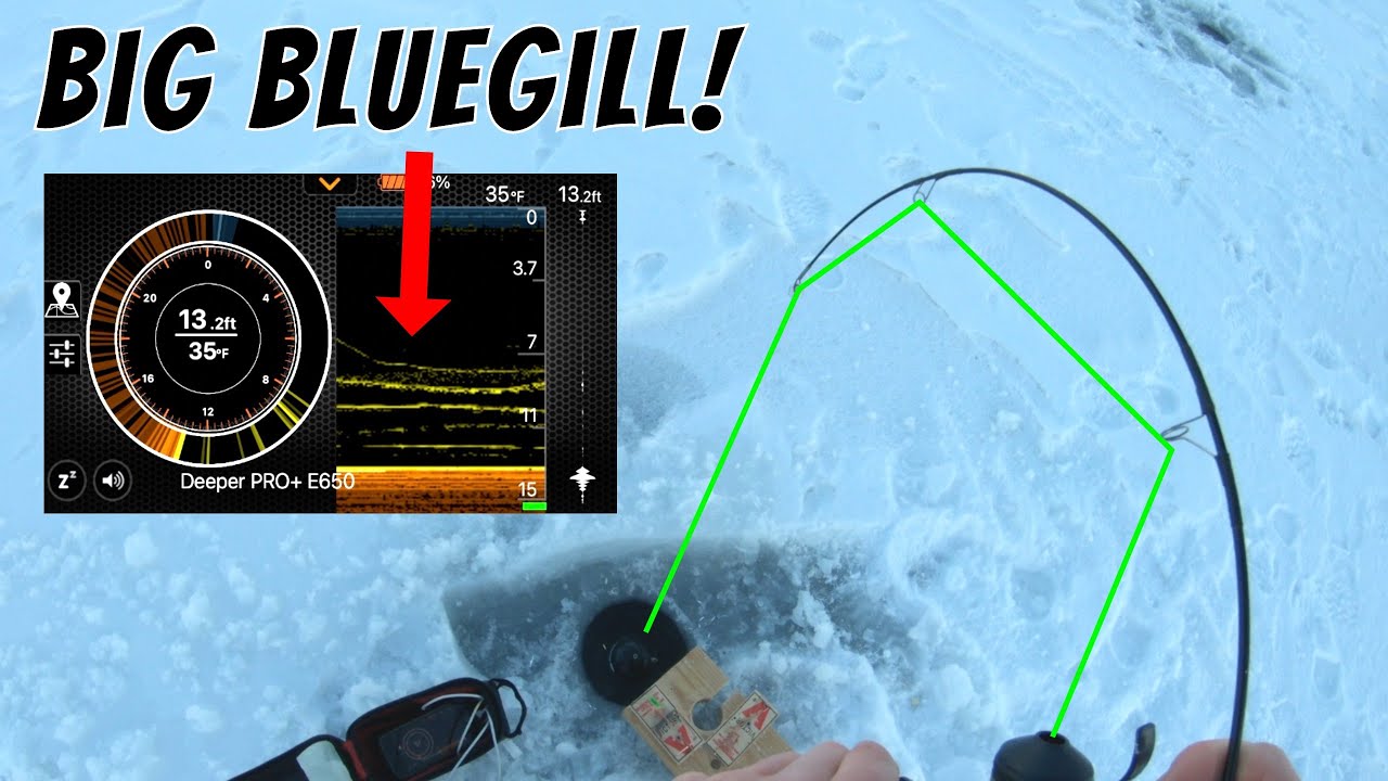 Using Deeper Sonar to Locate Jumbo Bluegill Mega Schools (Super Aggressive Bluegill!)