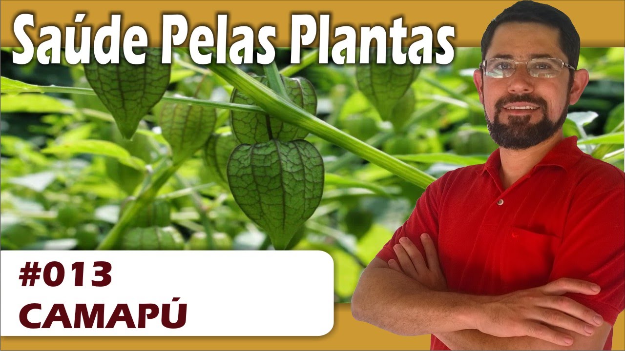 Saúde pelas Plantas - Camapú [HIV, herpes labial, câncer, Alzheimer, anti-inflamatório]