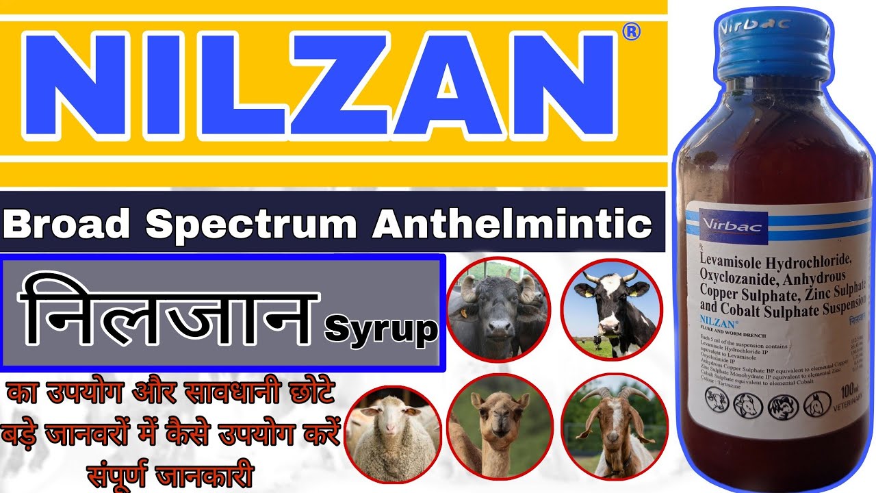 Nilzan syrup uses in hindi  oxyclozanide and levamisole hcl suspension 100,150ml Veterinary Medicine